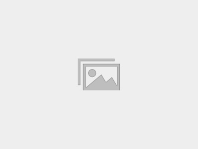 Google Maps Visibility For Pest Control Services Certificate of Completion